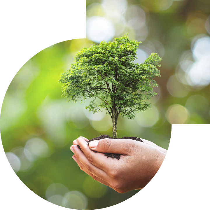 关怀人类、文化、环境与社会